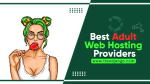 Best Adult Web Hosting Providers