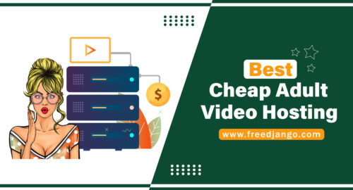 Best cheap adult video hosting