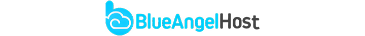 Best DMCA Ignored Hosting
