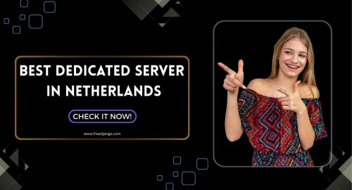 Best Dedicated Server in Netherlands