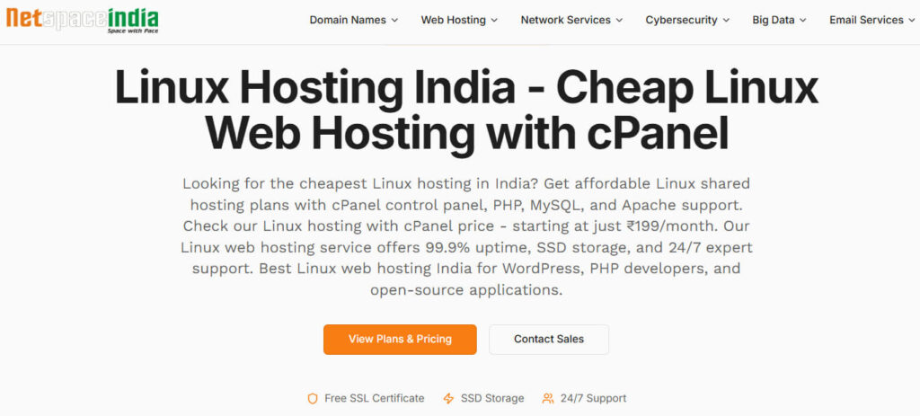 Best Web Hosting in Mumbai