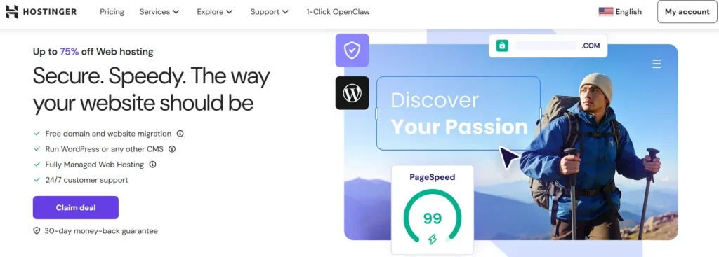 Hostinger Home Page