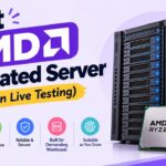 Best AMD Dedicated Server