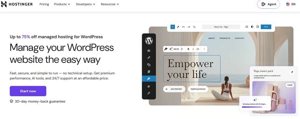Hostinger WordPress Hosting